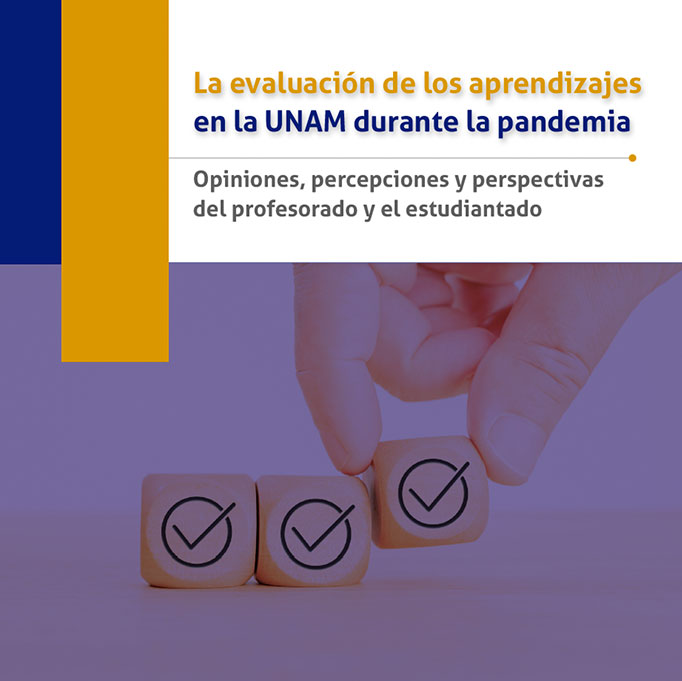La evaluación de los aprendizajes en la UNAM durante la pandemia. Opiniones, percepciones y perspectivas del profesorado y el estudiantado